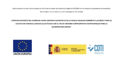 Fondo Europeo de Desarrollo Regional (FEDER)